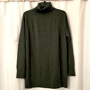 NWOT Raglan Merino Turtleneck Tunic
